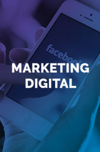 Capa de Porfólio da Workpixel - Agencia Digital