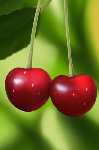 Capa de Porfólio da Beezu