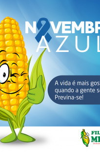 Capa de Porfólio da Avoar Comunicação Criativa