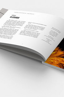 Capa de Porfólio da Wings Design E Comunicação