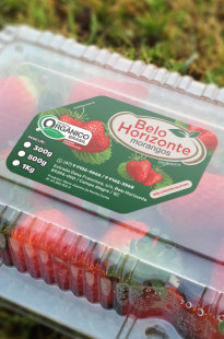 Capa de Porfólio da Septimo