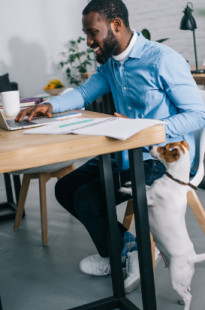 Capa de Porfólio da Intrepidus Digital