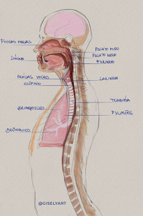Capa de Porfólio da Gisely Art