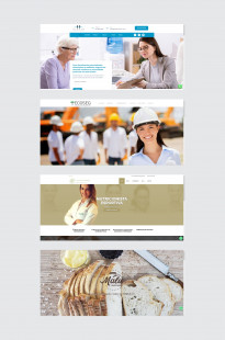 Capa de Porfólio da Web4 Distrito Federal