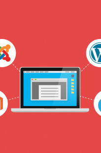 Capa de Porfólio da 2Ks Agência Digital