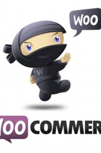 Capa de Porfólio da Maquina De Resultados