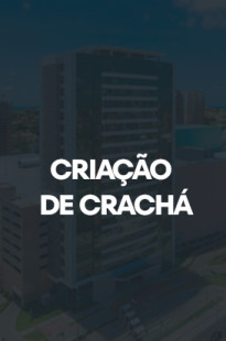 Capa de Porfólio da Agência Marketing Bck Digital