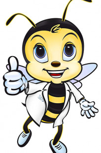 Capa de Porfólio da Sla Soluções Criativas