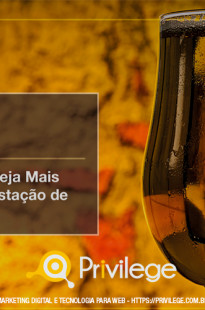 Capa de Porfólio da Privilege Marketing Digital