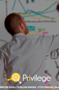 Capa de Porfólio da Privilege Marketing Digital