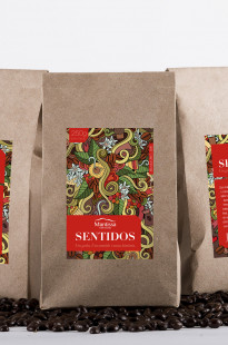 Capa de Porfólio da Stefano  Estúdio Criativo