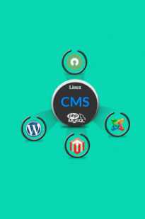 Capa de Porfólio da Táticoo