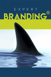 Capa de Porfólio da Venturini