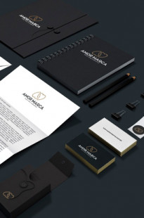 Capa de Porfólio da Petrolini Branding