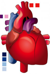 Capa de Porfólio da Somos Design