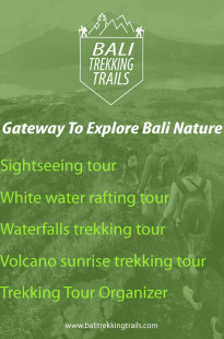 Capa de Porfólio da Roachdesign