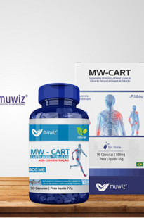 Capa de Porfólio da Div Studio & Web