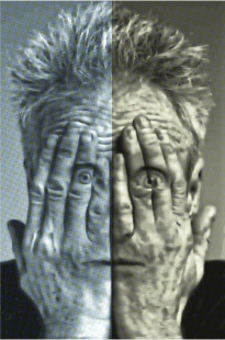 Capa de Porfólio da Nzng