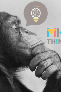 Capa de Porfólio da Marketingthinker.net