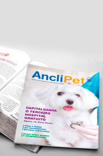 Capa de Porfólio da Vivaz Digital