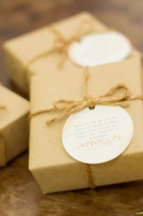 Capa de Porfólio da Zoia