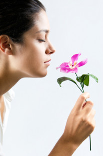 Capa de Porfólio da Us2You