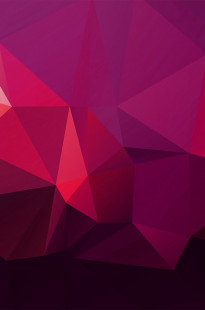 Capa de Porfólio da Search Digital