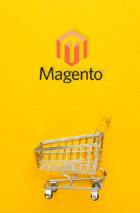 Capa de Porfólio da Nairuz Consultoria Digital