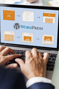 Capa de Porfólio da Nairuz Consultoria Digital