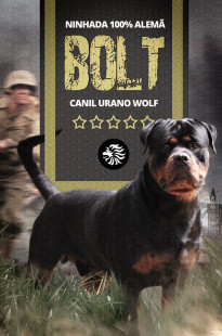 Capa de Porfólio da Stúdio Orelhão