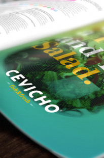 Capa de Porfólio da Manga Rosa Lab