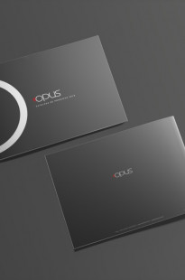 Capa de Porfólio da Agência Melô