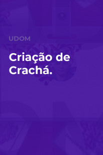 Capa de Porfólio da Udom - Laboratorio De Ideias