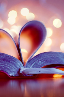 Capa de Porfólio da Empresa Legal