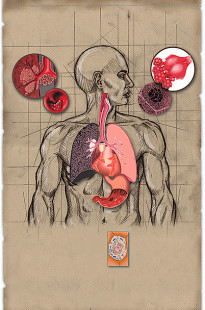 Capa de Porfólio da Cícero Lopes